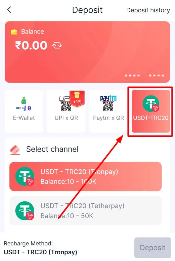 Select the USDT payment option and channel